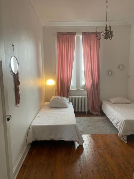 Grand Entier En Hyper Centre A 10 Minutes De Lille, Metro A 50m Et La Gare De Et A 900m Et Parking A Proximite Apartment